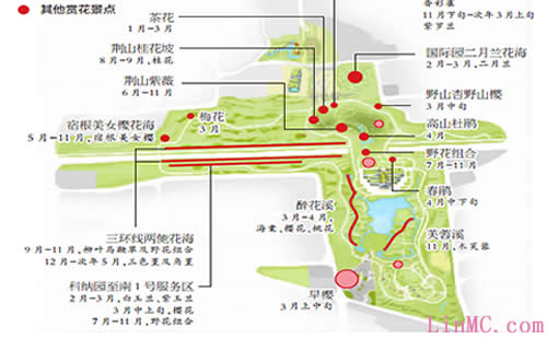 地图制作